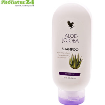 Aloe Vera Jojoba Shampoo Haarpflege (Forever)