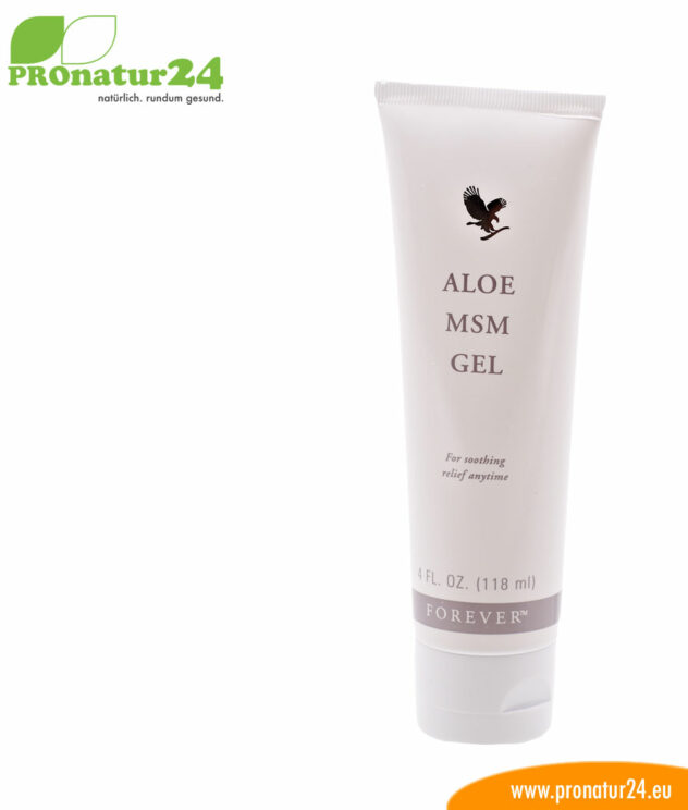 Aloe Vera MSM Gel