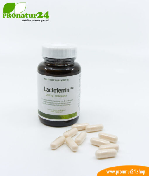 Lactoferrin, 250 mg, diätetisches Lebensmittel