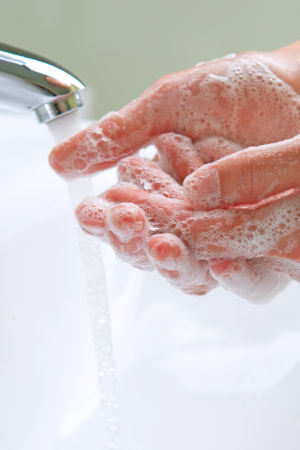 Sauber und gepflegt mit der Aloe Vera Hand Soap von forever