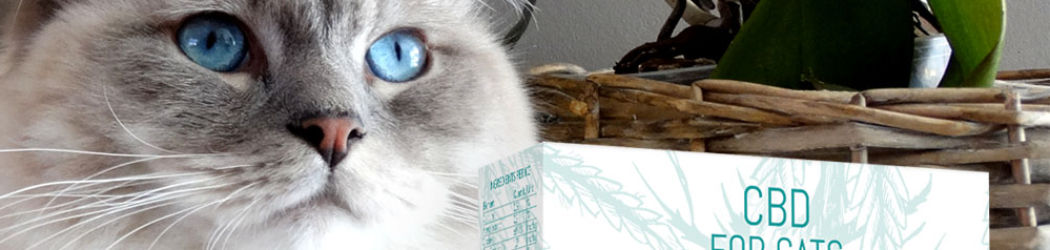 CBD LECKERLIES für Katzen und Kätzchen. Futterergänzung in Form von Tabletten für die Katze. 130 mg CBD in 100 Pastillen. Ohne THC. 14 CBD Leckerlies für Katzen. Futterergänzung in Form von Tabletten / Pastillen für den Stubentiger.