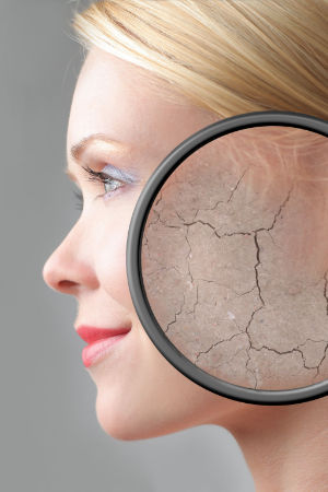 IDUN CBD Feuchtigkeitscreme. Hautcreme für eine optimale Hydratisierung mit der Kraft der Cannabis Pflanze. Ohne THC. Vegan. 14 Trockene Haut bedarf besonderer Pflege.