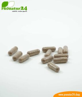 OPC Traubenkernextrakt hochdosiert mit jeweils 250 mg, 90 vegetarische KapselnOPC Traubenkernextrakt hochdosiert mit jeweils 250 mg, 90 vegetarische Kapseln