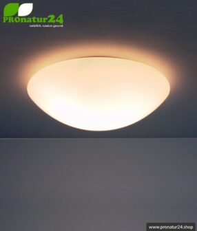 Geschirmte Deckenleuchte, mundgeblasenes Opalglas, 32 cm, E27 Fassung, 60 Watt