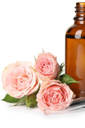 Wertvollstes Rosenöl im Haar & Körper Shampoo rose