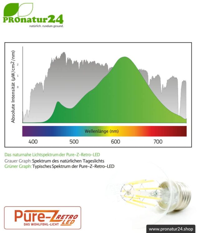 6,4 Watt LED Filament Pure-Z-Retro BIO LICHT | Hell wie 60 Watt, 600 Lumen | Warmweiß (2700 Kelvin) | CRI >90, flimmerfrei (< 1%), E27