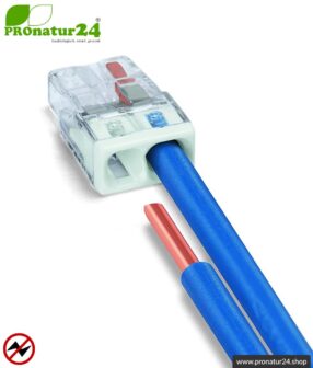 WAGO Compact Steckklemmen bzw. Verbindungsdosenklemmen | Modell 2273-202 | für 2 eindrähtige Leiter | Leiterquerschnitt 0,5 bis 2,5 mm² | 450V / 24 A | 100 Stück pro Packung