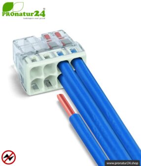 WAGO Compact Verbindungsdosenklemme | Modell 2273-208 | für 8 eindrähtige Leiter | Leiterquerschnitt 0,5 bis 2,5 mm² | 450V / 24 A | Alternative zur Lüsterklemme