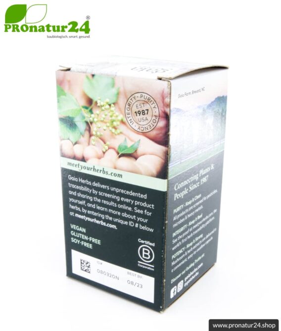 MENTAL CLARITY von Gaia Herbs | kann das Gedächtnis unterstützen | mushrooms & herbs | Pilze & Kräuter | 60 Kapseln
