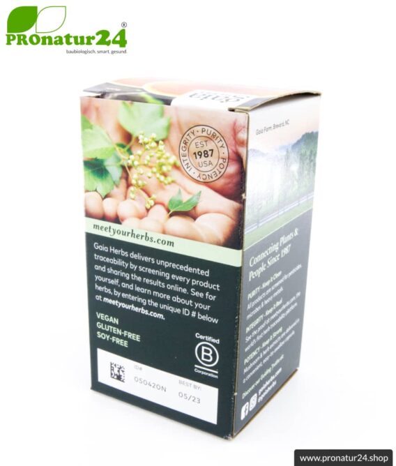 WHOLE BODY SUPPORT von Gaia Herbs | Reishi, Shiitake, Kurkuma und Ingwer für's tägliche Plus an Energie | Pilze, Vitalpilze & Kräuter | 60 Kapseln