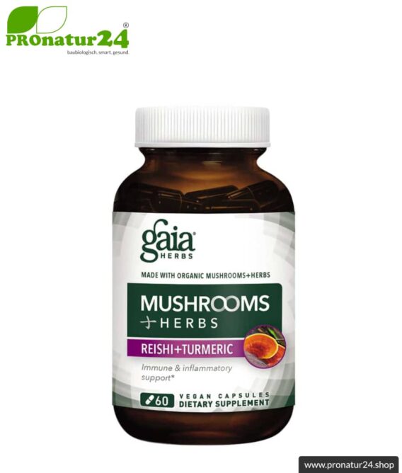 WHOLE BODY SUPPORT von Gaia Herbs | Reishi, Shiitake, Kurkuma und Ingwer für's tägliche Plus an Energie | Pilze, Vitalpilze & Kräuter | 60 Kapseln