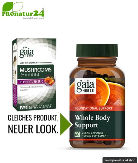 WHOLE BODY SUPPORT von Gaia Herbs | Reishi, Shiitake, Kurkuma und Ingwer für's tägliche Plus an Energie | Pilze, Vitalpilze & Kräuter | 60 Kapseln