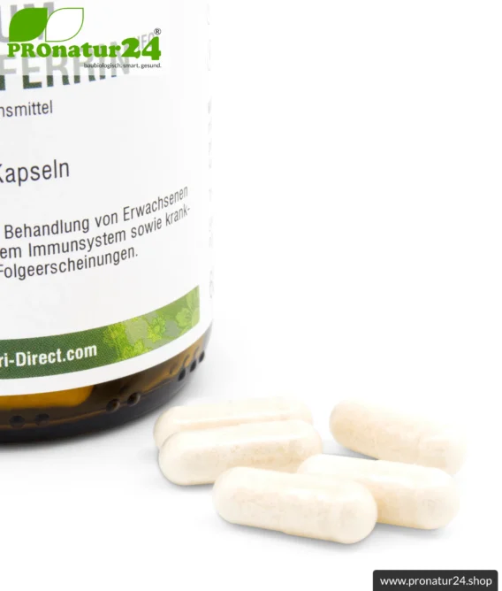 Lactoferrin HFQ Kapseln | 250 mg in höchster Reinheit | Diätetisches Lebensmittel in Premium Qualität