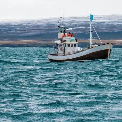 Nachhaltiger Fischfang mit WHC