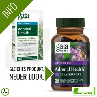 ADRENAL HEALTH - DAILY SUPPORT von gaia HERBS | Konzentration und Fokus im Alltag | Geeignet als Ergänzung bei intensivem Training + Höhentraining | 60 Kapseln 12 ADRENAL HEALTH von Gaia Herbs | Konzentration und Fokus im Alltag | Geeignet als Ergänzung bei intensivem Training + Höhentraining | 60 Kapseln