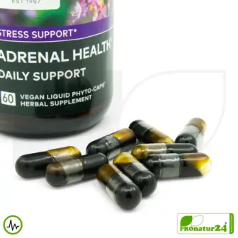 ADRENAL HEALTH - DAILY SUPPORT von gaia HERBS | Konzentration und Fokus im Alltag | Geeignet als Ergänzung bei intensivem Training + Höhentraining | 60 Kapseln 9 ADRENAL HEALTH von Gaia Herbs | Konzentration und Fokus im Alltag | Geeignet als Ergänzung bei intensivem Training + Höhentraining | 60 Kapseln