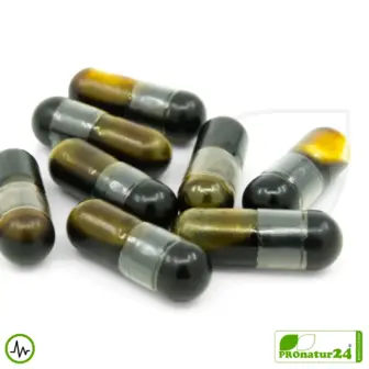 ADRENAL HEALTH - DAILY SUPPORT von gaia HERBS | Konzentration und Fokus im Alltag | Geeignet als Ergänzung bei intensivem Training + Höhentraining | 60 Kapseln 13 ADRENAL HEALTH von Gaia Herbs | Konzentration und Fokus im Alltag | Geeignet als Ergänzung bei intensivem Training + Höhentraining | 60 Kapseln