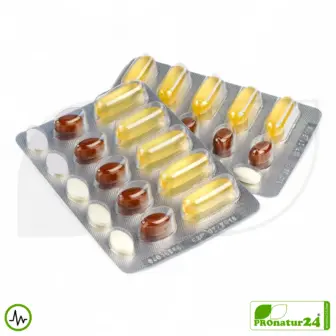 WHC QuattroCardio® (OMEGA-3 Fettsäuren, Vitamin D3, K2 und Q10 Ubichinol) | 90 Kapseln 9 WHC QuattroCardio® (OMEGA-3 Fettsäuren, Vitamin D3, K2 und Q10 Ubichinol) | 90 Kapseln
