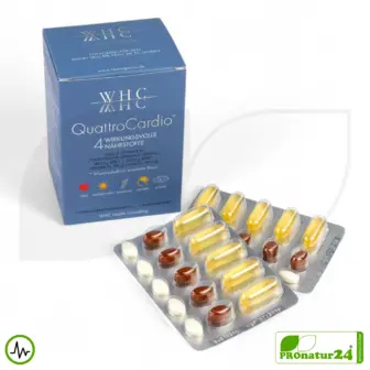 WHC QuattroCardio® (OMEGA-3 Fettsäuren, Vitamin D3, K2 und Q10 Ubichinol) | 90 Kapseln 10 WHC QuattroCardio® (OMEGA-3 Fettsäuren, Vitamin D3, K2 und Q10 Ubichinol) | 90 Kapseln