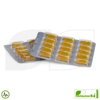 WHC QUATTRO3™ + PS | Omega 3 Fischöl Kinder | 60 Weichkapseln 9 WHC QUATTRO3™ + PS Fischöl Komplex | Omega 3 für Kinder | 60 Weichkapseln
