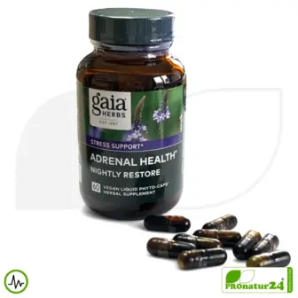 ADRENAL HEALTH - NIGHTLY RESTORE von gaia HERBS | Die Nacht im Fokus | Nahrungsergänzung vor dem Schlafengehen | 60 Kapseln 12 ADRENAL HEALTH - NIGHTLY RESTORE von Gaia Herbs | Die Nacht im Fokus | Nahrungsergänzung vor dem Schlafengehen | 60 Kapseln