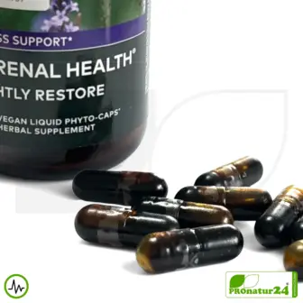 ADRENAL HEALTH - NIGHTLY RESTORE von gaia HERBS | Die Nacht im Fokus | Nahrungsergänzung vor dem Schlafengehen | 60 Kapseln 9 ADRENAL HEALTH - NIGHTLY RESTORE von Gaia Herbs | Die Nacht im Fokus | Nahrungsergänzung vor dem Schlafengehen | 60 Kapseln