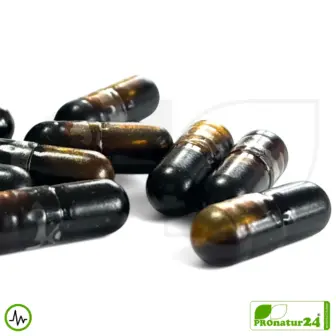 ADRENAL HEALTH - NIGHTLY RESTORE von gaia HERBS | Die Nacht im Fokus | Nahrungsergänzung vor dem Schlafengehen | 60 Kapseln 13 ADRENAL HEALTH - NIGHTLY RESTORE von Gaia Herbs | Die Nacht im Fokus | Nahrungsergänzung vor dem Schlafengehen | 60 Kapseln