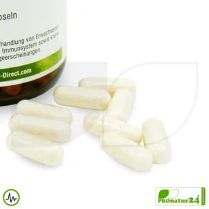 Lactoferrin HFQ Kapseln | 120 mg in höchster Reinheit | Diätetisches Lebensmittel in Premium Qualität