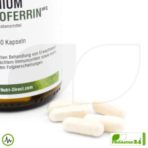 Lactoferrin HFQ Kapseln | 250 mg in höchster Reinheit | Diätetisches Lebensmittel in Premium Qualität 6 Lactoferrin HFQ Kapseln | 250 mg in höchster Reinheit | Diätetisches Lebensmittel in Premium Qualität