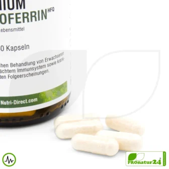 Lactoferrin HFQ Kapseln | 250 mg in höchster Reinheit | Diätetisches Lebensmittel in Premium Qualität