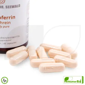 Lactoferrin 300 mg, hochrein | hochdosiert | Apo-Lactoferrin = eisenarm | Premium Qualität vom Zentrum Dr. Seewald 11 Lactoferrin Kapseln vom Zentrum Dr. Seewald | 300 mg pro Kapsel in höchster Reinheit | Diätetisches Lebensmittel in Premium Qualität