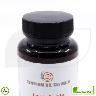 Lactoferrin 300 mg, hochrein | hochdosiert | Apo-Lactoferrin = eisenarm | Premium Qualität vom Zentrum Dr. Seewald 12 Lactoferrin Kapseln vom Zentrum Dr. Seewald | 300 mg pro Kapsel in höchster Reinheit | Diätetisches Lebensmittel in Premium Qualität