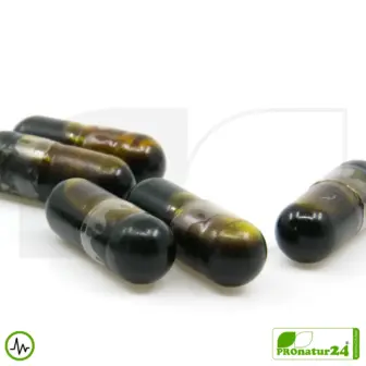 LIVER CLEANSE von gaia HERBS | Nahrungsergänzung für die Leber mit wertvollen Pflanzenextrakten (u.a. Mariendistel, Kurkuma, ...) | 60 Kapseln 10 LIVER CLEANSE von gaia HERBS | Nahrungsergänzung für die Leber mit wertvollen Pflanzenextrakten | 60 Kapseln