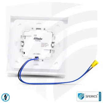 Aufputzrepeater RP-NA16-AP | Eltako FRP65/230V-wg | Repeater zur Montage auf Installationsdose | LEVEL 2 | Masterschalter Set-Up | baubiologische Funktechnik nach EnOcean Standard