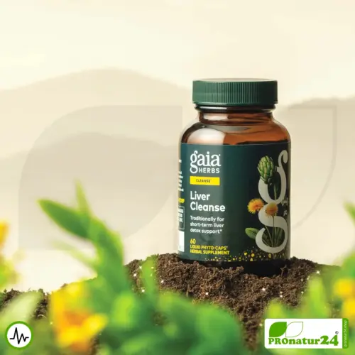 LIVER CLEANSE von gaia HERBS | Nahrungsergänzung für die Leber mit wertvollen Pflanzenextrakten | 60 Kapseln