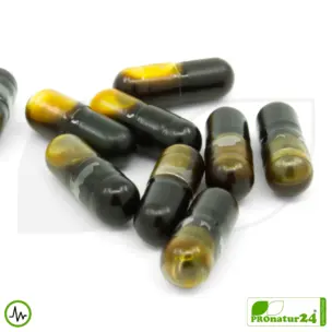 OIL OF OREGANO von gaia HERBS | Power-Pflanze für die natürliche Widerstandsfähigkeit | Verdauung | Vitalität | Wohlbefinden | 60 Kapseln 11 OIL OF OREGANO von Gaia Herbs | Power-Pflanze für die natürliche Widerstandsfähigkeit | Verdauung | Vitalität | Wohlbefinden | 60 Kapseln