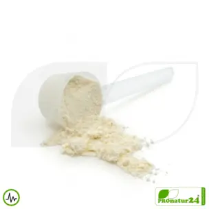Premium Whey Protein | Natur | Vitalshake von HFQ 8 Premium Whey Protein Natur | Vitalshake von HFQ