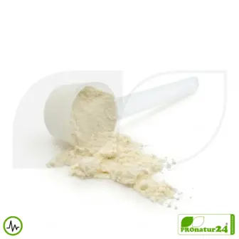 VitalShake Whey Protein Isolat Natur | laktosefrei | HFQ 5 Premium Whey Protein Natur | Vitalshake von HFQ