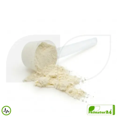 Premium Whey Protein Natur | Vitalshake von HFQ