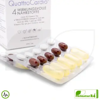 WHC QuattroCardio® (OMEGA-3 Fettsäuren, Vitamin D3, K2 und Q10 Ubichinol) | 90 Kapseln 9 WHC QuattroCardio® (OMEGA-3 Fettsäuren, Vitamin D3, K2 und Q10 Ubichinol) | 90 Kapseln